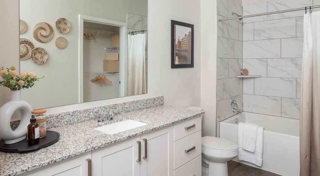 12111 Main Street 4101, Houston, TX 77035