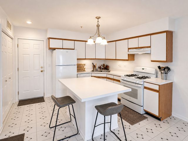 1214 ORLEANS Drive 1214, Mundelein, IL 60060