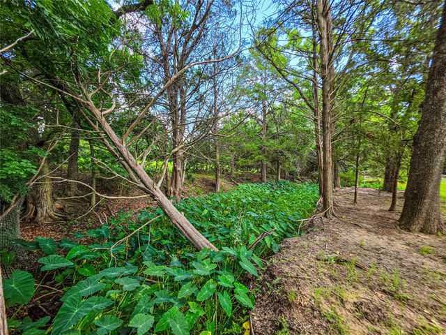 1900 Haymarket Road, Dallas, TX 75253