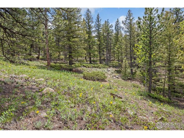 398 Overland Dr, Ward, CO 80481