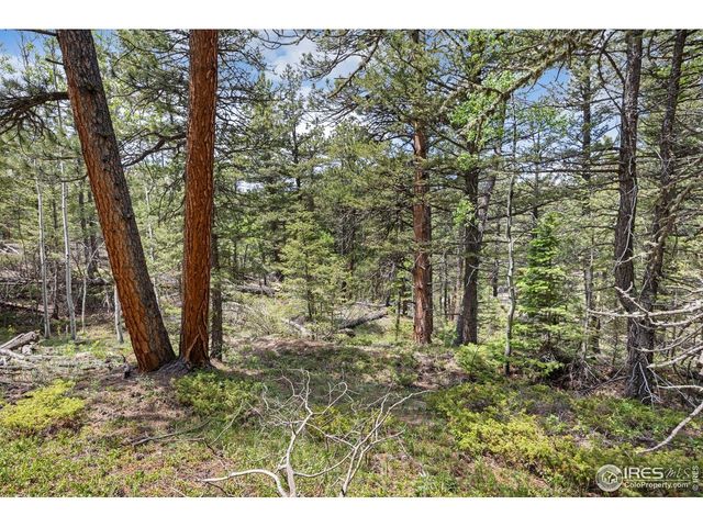 398 Overland Dr, Ward, CO 80481