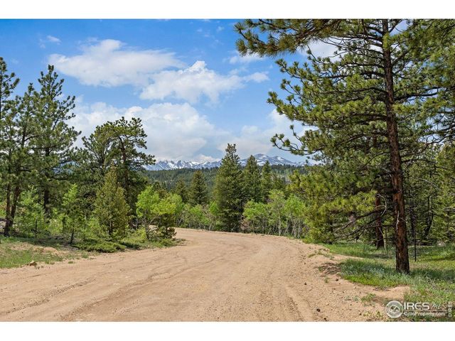 398 Overland Dr, Ward, CO 80481