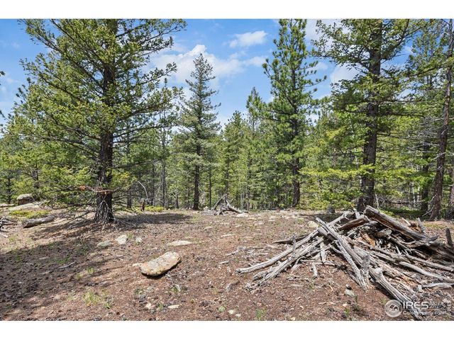 398 Overland Dr, Ward, CO 80481