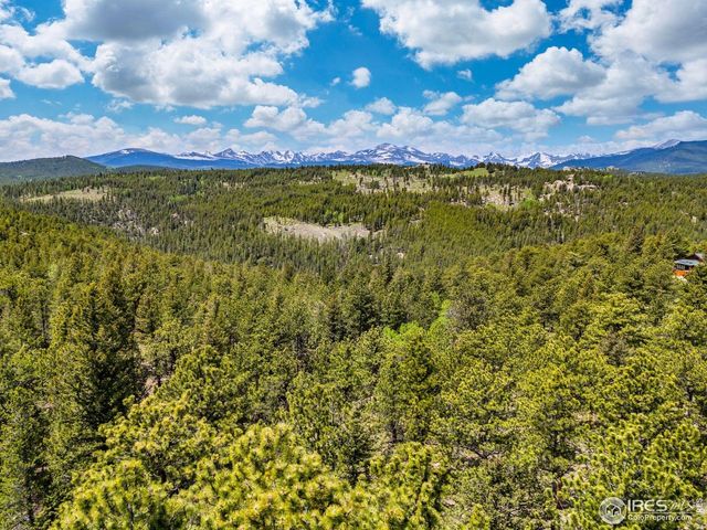 398 Overland Dr, Ward, CO 80481