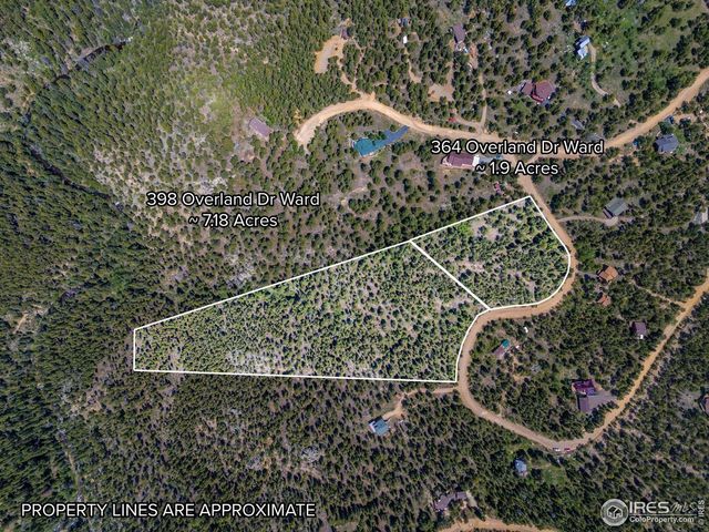 398 Overland Dr, Ward, CO 80481