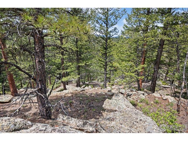 398 Overland Dr, Ward, CO 80481