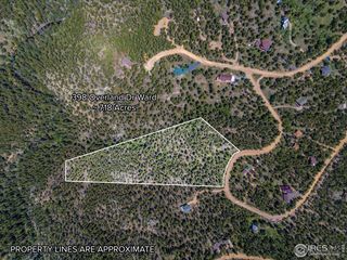 398 Overland Dr, Ward, CO 80481