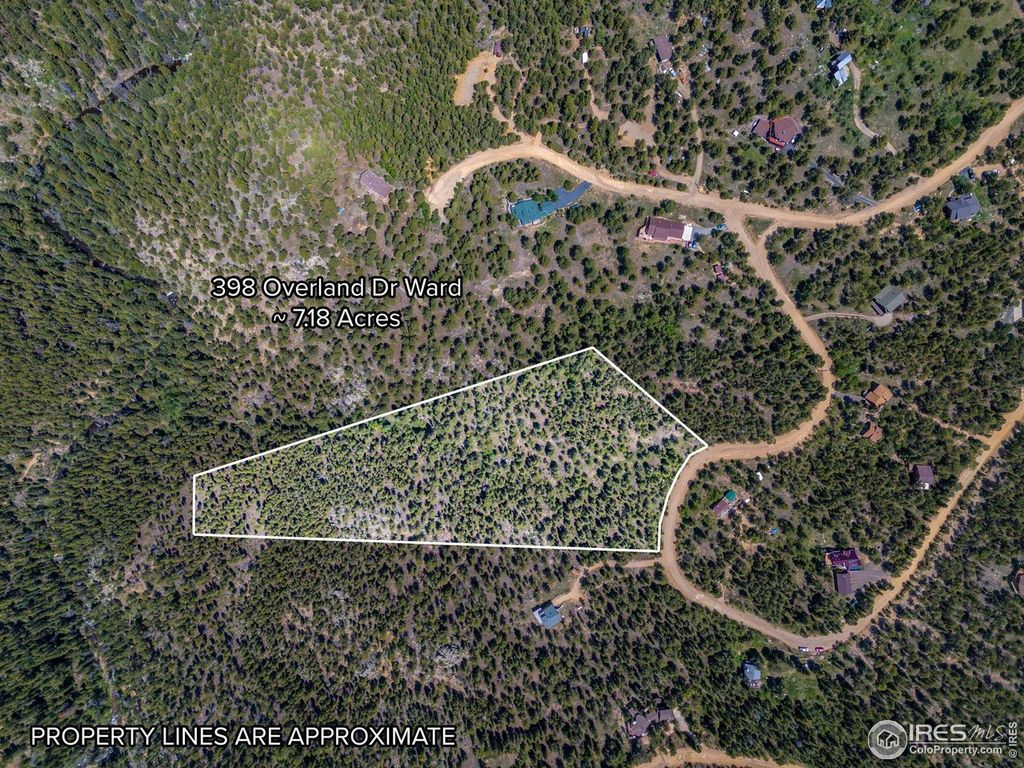 398 Overland Dr, Ward, CO 80481