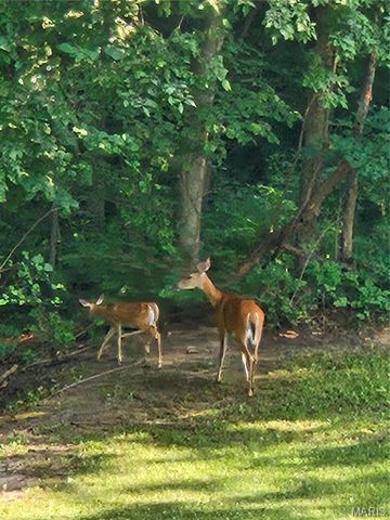 7467 Walshville Trail, Hillsboro, IL 62049