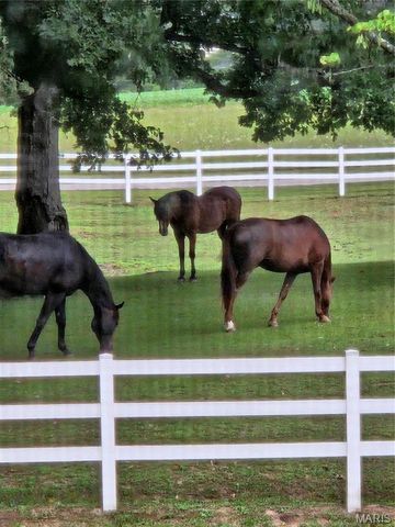 7467 Walshville Trail, Hillsboro, IL 62049