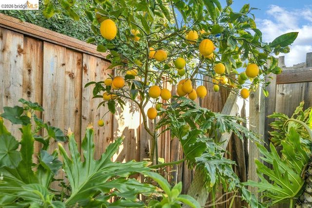 1198 Spiro Dr, San Jose, CA 95116