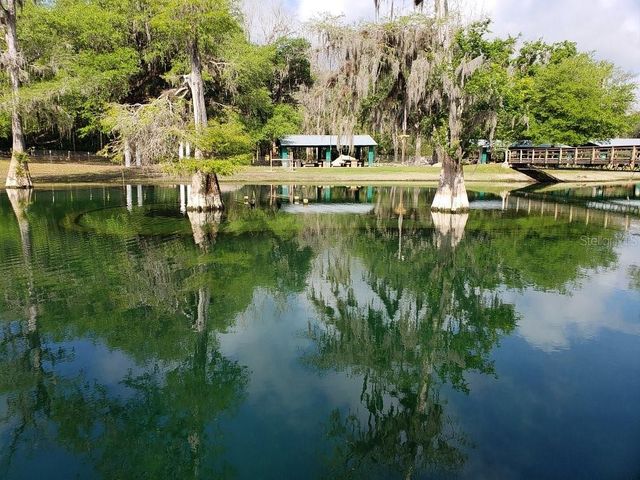 9061 KATHERINE WAY, Fanning Springs, FL 32693