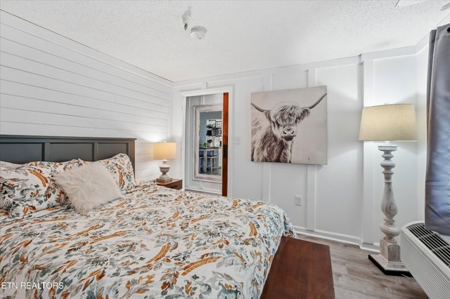 413 Baskins Creek Rd Apt 303, Gatlinburg, TN 37738