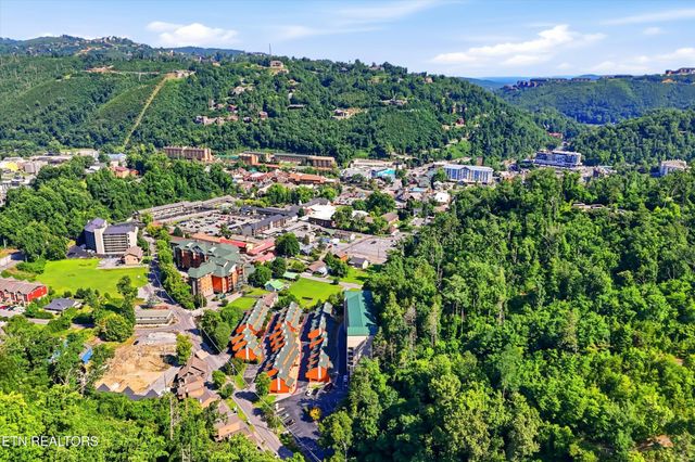 413 Baskins Creek Rd Apt 303, Gatlinburg, TN 37738