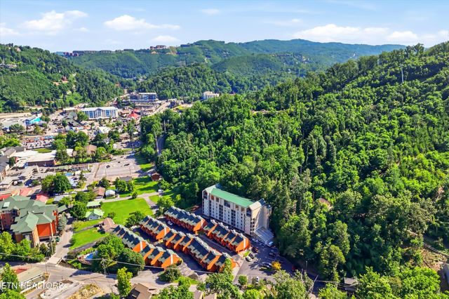 413 Baskins Creek Rd Apt 303, Gatlinburg, TN 37738