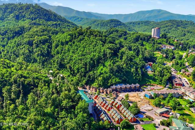 413 Baskins Creek Rd Apt 303, Gatlinburg, TN 37738