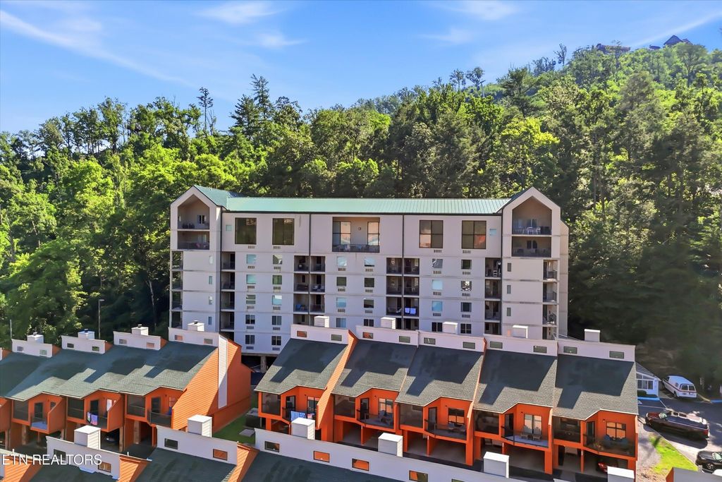 413 Baskins Creek Rd Apt 303, Gatlinburg, TN 37738