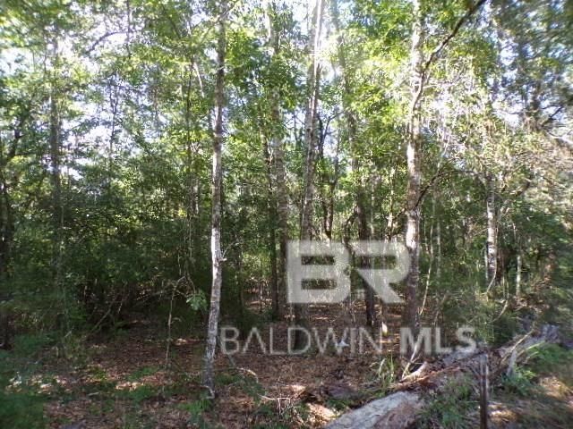 22963 Highway 98, Foley, AL 36535