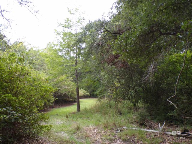 22963 Highway 98, Foley, AL 36535