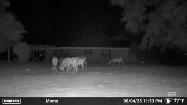 22963 Highway 98, Foley, AL 36535