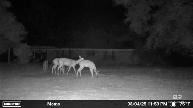 22963 Highway 98, Foley, AL 36535