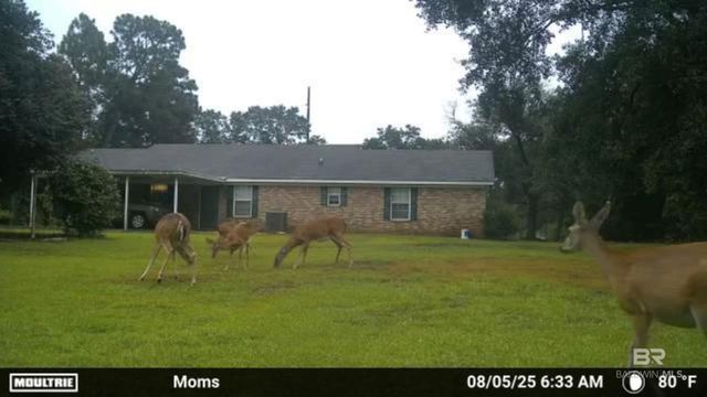 22963 Highway 98, Foley, AL 36535