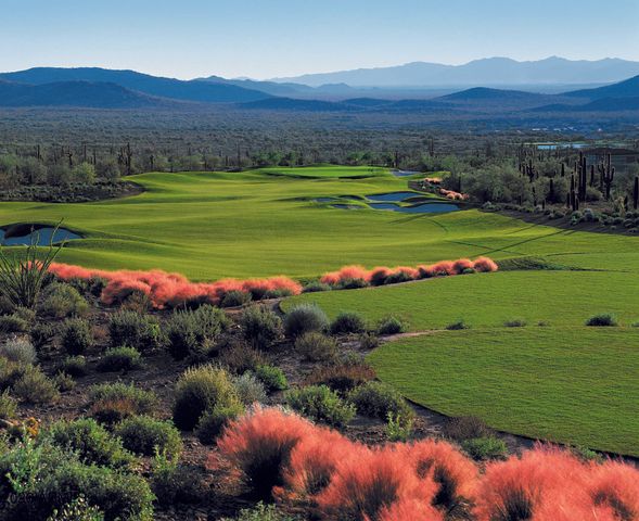 42010 N HARBOUR TOWN Court, Anthem, AZ 85086