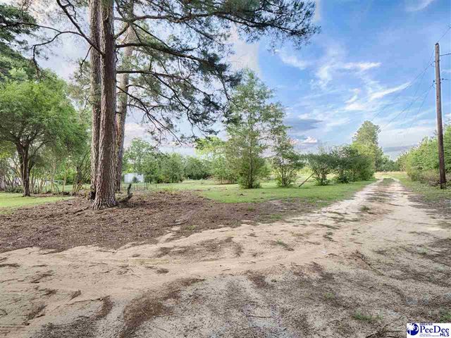 2659 Judson Rd, Little Rock, SC 29567