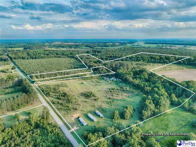 2659 Judson Rd, Little Rock, SC 29567