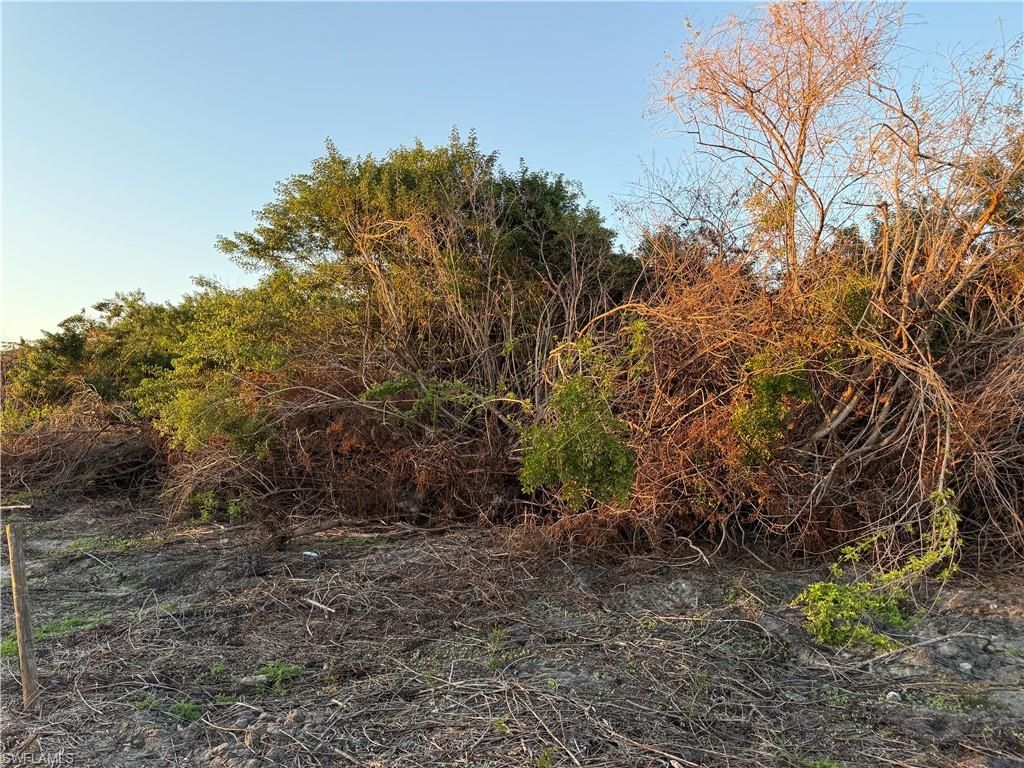 5801 4th RD, LABELLE, FL 33935 — photo 4