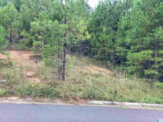 1119 SPRINGHILL LANE, Birmingham, AL 35242