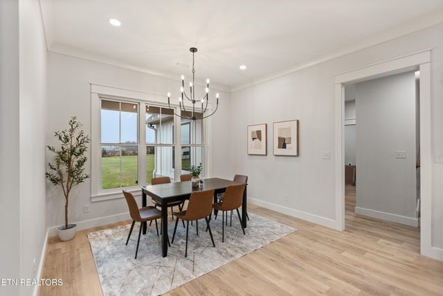 927 Herbert Drive, Greenback, TN 37742