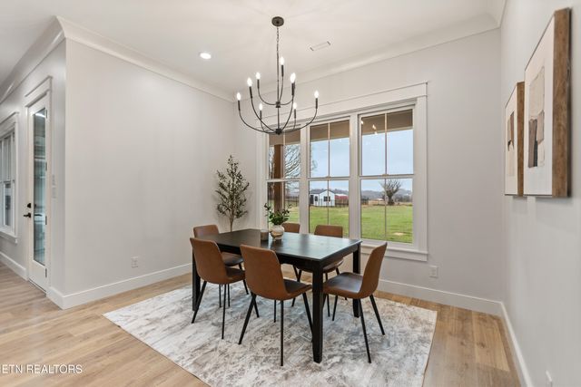 927 Herbert Drive, Greenback, TN 37742