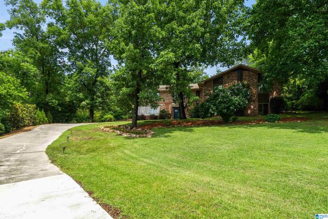 3546 MILL SPRINGS ROAD, Mountain Brook, AL 35223