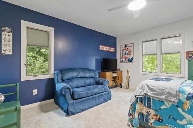 3546 MILL SPRINGS ROAD, Mountain Brook, AL 35223