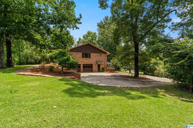 3546 MILL SPRINGS ROAD, Mountain Brook, AL 35223