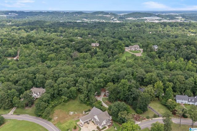 3546 MILL SPRINGS ROAD, Mountain Brook, AL 35223