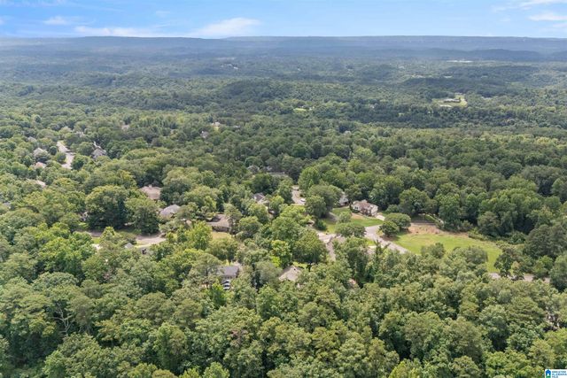 3546 MILL SPRINGS ROAD, Mountain Brook, AL 35223