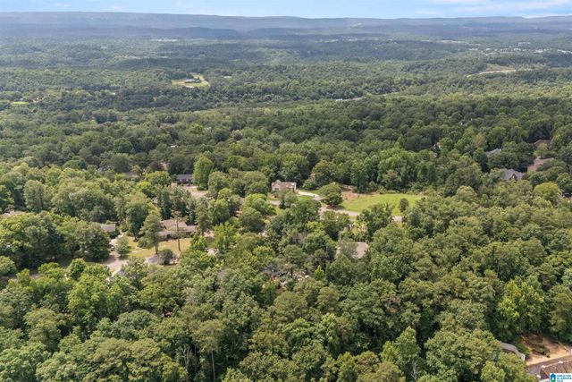 3546 MILL SPRINGS ROAD, Mountain Brook, AL 35223