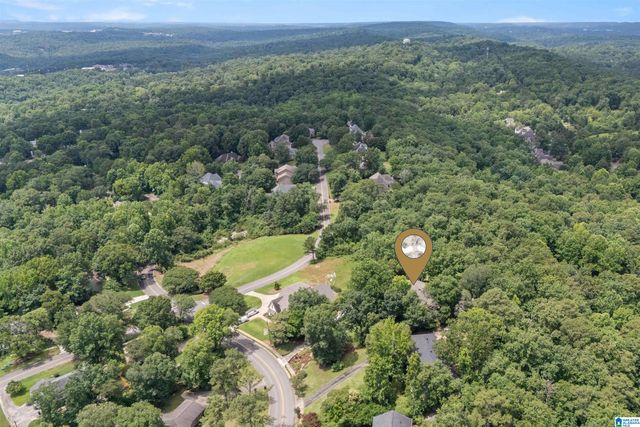 3546 MILL SPRINGS ROAD, Mountain Brook, AL 35223