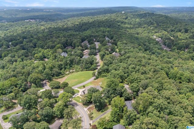 3546 MILL SPRINGS ROAD, Mountain Brook, AL 35223