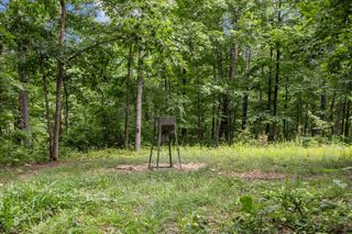 0 Bear Creek Road, Waverly, TN 37185