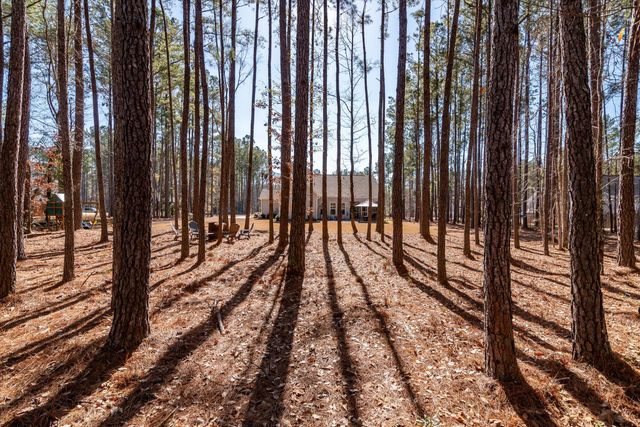 1119 Etowah Drive, Ridgeville, SC 29472