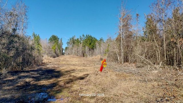 0 Chambers Road, Zavalla, TX 75980