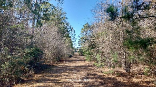 0 Chambers Road, Zavalla, TX 75980