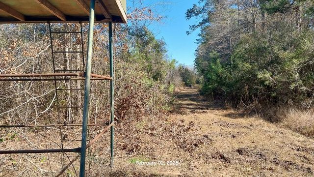 0 Chambers Road, Zavalla, TX 75980