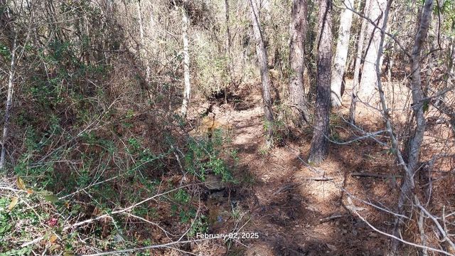 0 Chambers Road, Zavalla, TX 75980