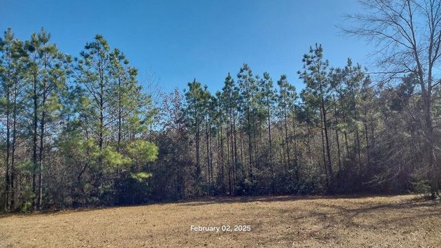 0 Chambers Road, Zavalla, TX 75980