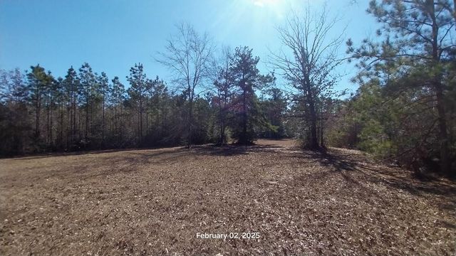 0 Chambers Road, Zavalla, TX 75980