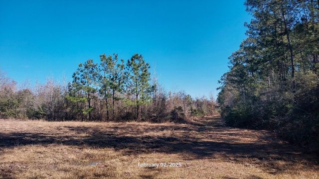 0 Chambers Road, Zavalla, TX 75980